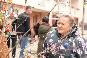 Zum Gedenken an Renate Radoy