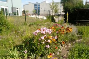 Einladung zum Tag der offenen Tür im Nachbarschaftsgarten!