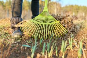 Erfolgreicher Fr&uuml;hjahrsputz 2026 im Wohngebiet