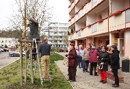 Osterbaumschmücken vor dem Bürgerzentrum