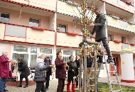 Osterbaumschmücken vor dem Bürgerzentrum