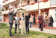 Osterbaumschmücken vor dem Bürgerzentrum