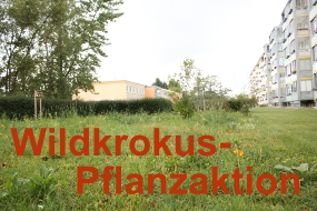 Einladung zur Pflanzaktion der Initiative Blühendes Rüdersdorf